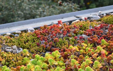 the cost of Lower Tale green roof installation