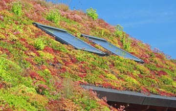Lower Tale living roof systems