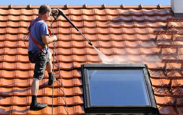roof cleaning Lower Tale, Devon