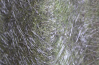 Lower Tale fibreglass roof work